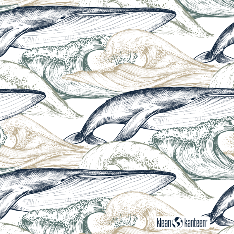 20oz-tkwide-with-twist-cap-ocean-day-w5 20oz_tkwide_bottle_seasonal_ocean_day_whale_artwork_square.png