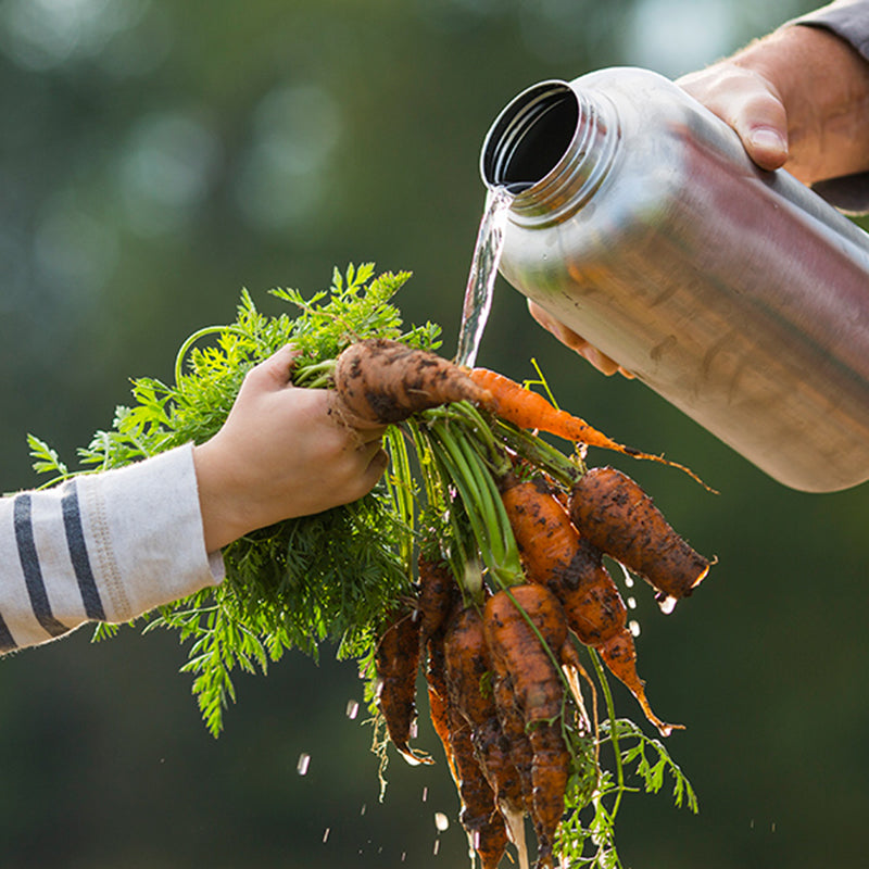 64oz-wide-with-loop-cap-h7 64oz_wide_mouth_bottle_carrots_rinse_square.jpg