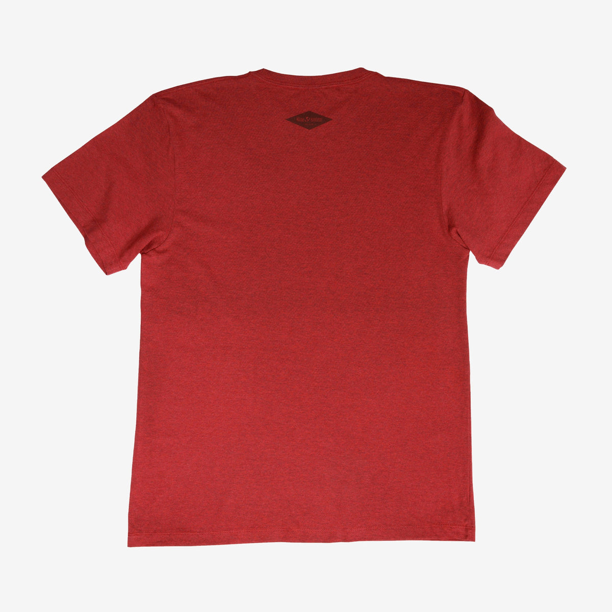 backyard-t-shirt-p9 Shirt_Mtn_Back.jpg